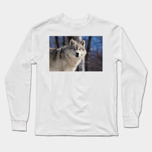 Arctic Wolf Long Sleeve T-Shirt